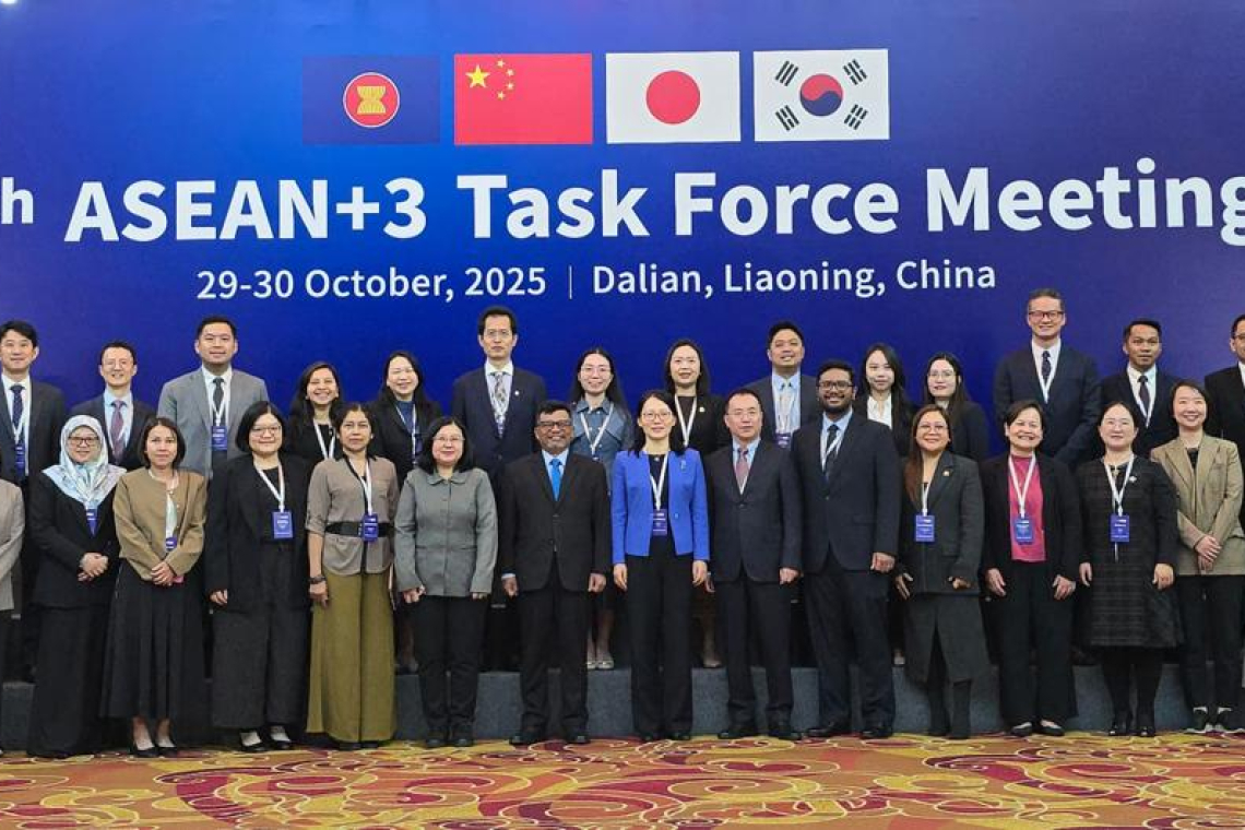 The 4th ASEAN+3 Task Force Meeting